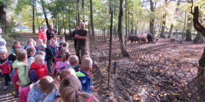 Wycieczka do Nadleśnictwa Przedborów