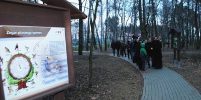 Zielona ścieżka przy szkole w Kaliszkowicach Ołobockich