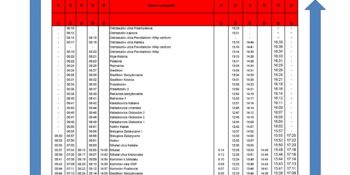 Rozkład jazdy autobusów Ostrzeszów - Mikstat - Ostrzeszów