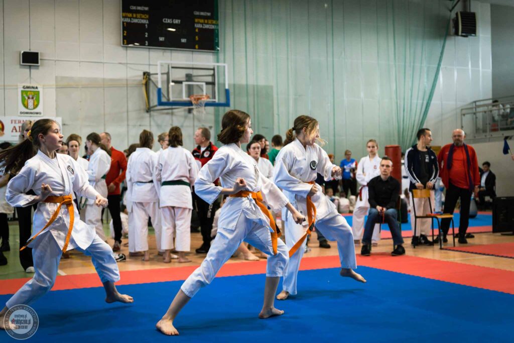 na podium podczas I Ogólnopolskiego Turnieju Karate RAION CUP, który odbywał się w Środzie Wielkopolskiej.