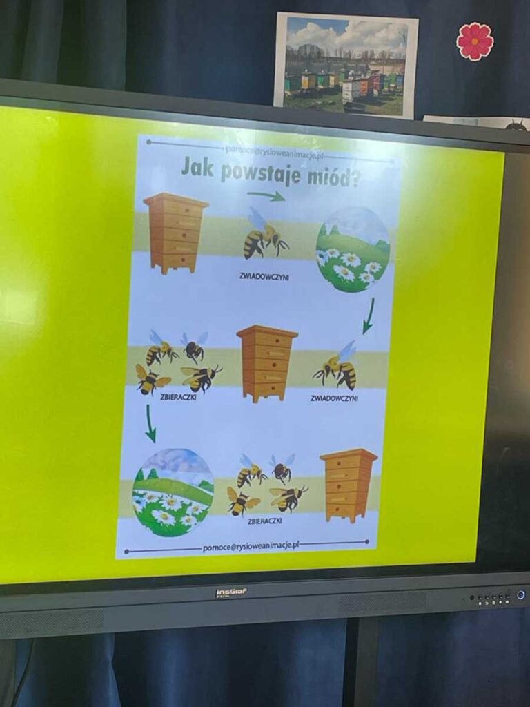 szkole z okazji „Dnia Pszczoły” odbyło się spotkanie z pszczelarzem szkole z okazji „Dnia Pszczoły” odbyło się spotkanie z pszczelarzem