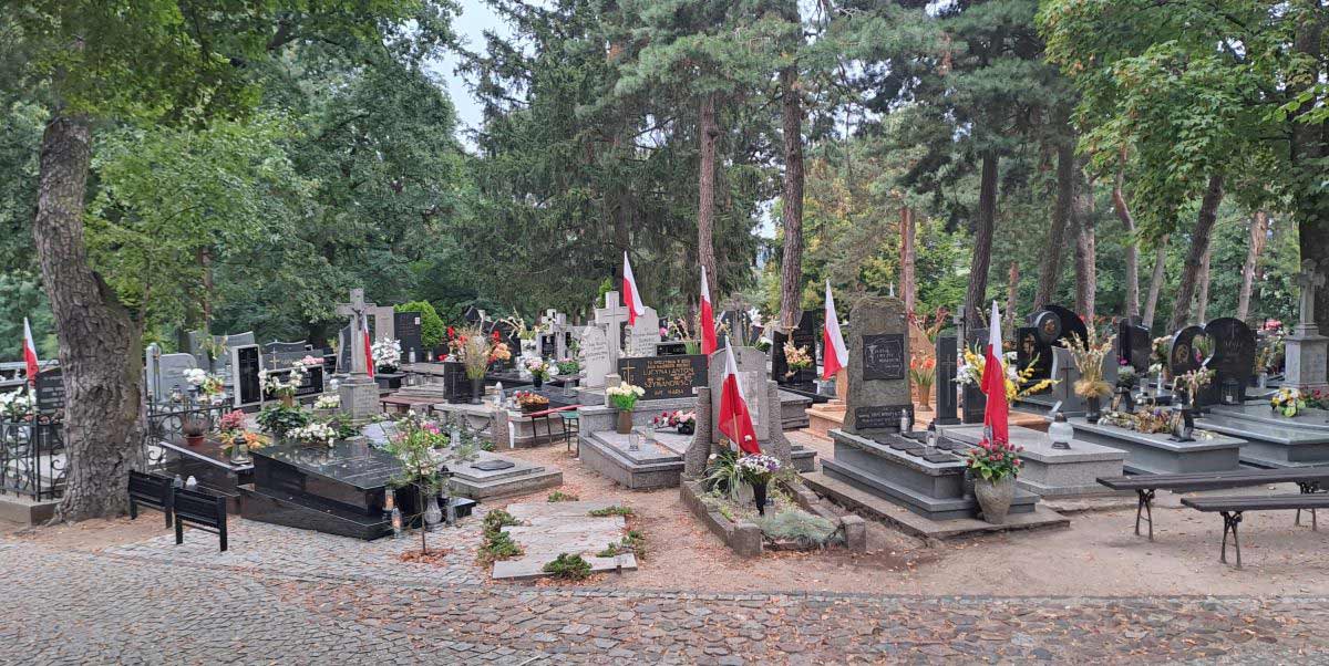 Groby powstańców wielkopolskich na mikstackim cmentarzu 