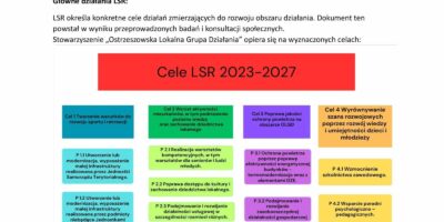 Opis projektu LSR