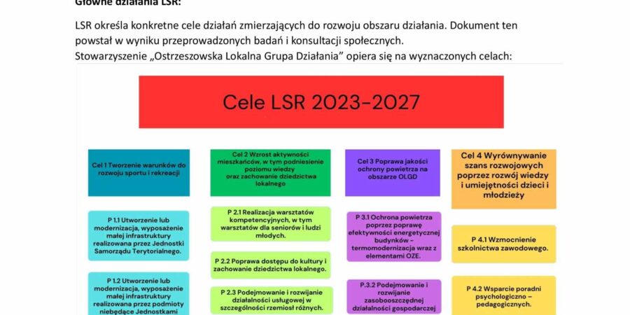 Opis projektu LSR