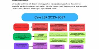 Informacja o Stowarzyszeniu „Ostrzeszowska Lokalna Grupa Działania”