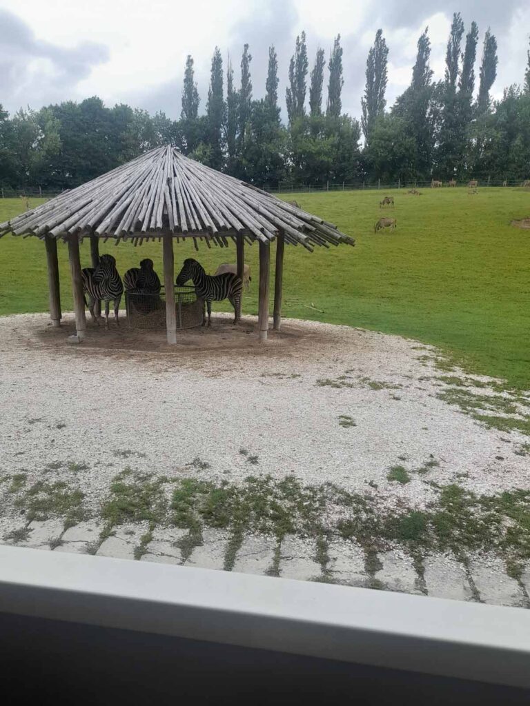 Wyjazd uczniów SP w Kaliszkowicach Ołobockich na wycieczkę KARPACZ-ZOO SAFARI-SKALNE MIASTO