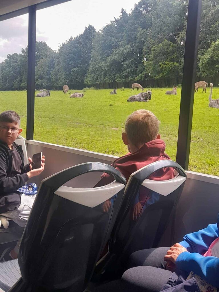 Wyjazd uczniów SP w Kaliszkowicach Ołobockich na wycieczkę KARPACZ-ZOO SAFARI-SKALNE MIASTO