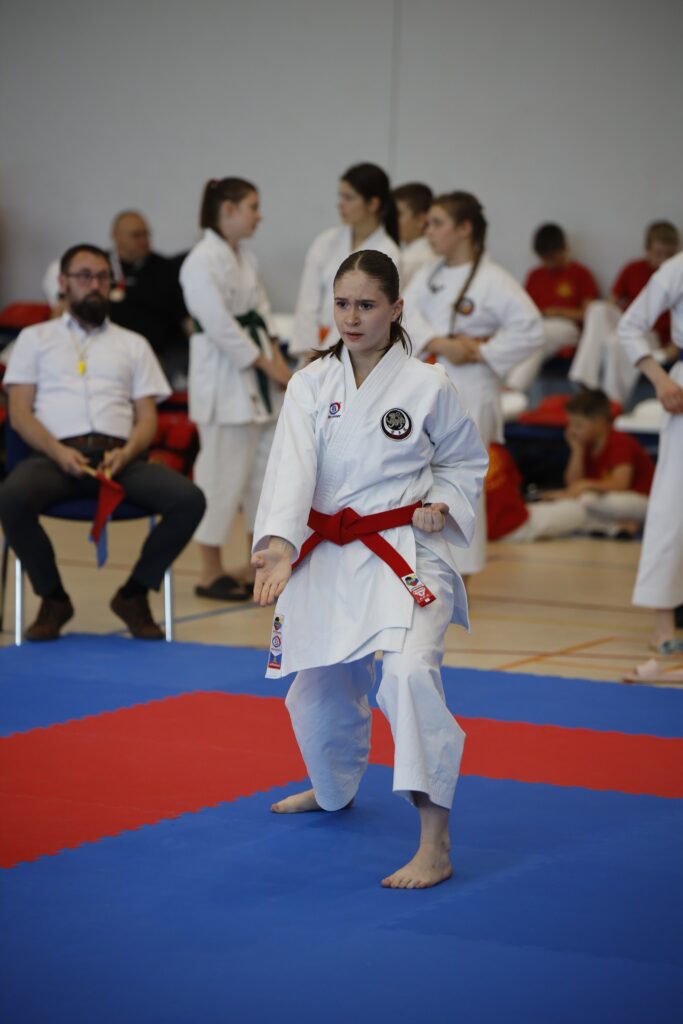 W sobotę, 14 czerwca, w Czerniejewie koło Wrześni odbył się Ogólnopolski Turniej Karate Czerniejewo 2025.