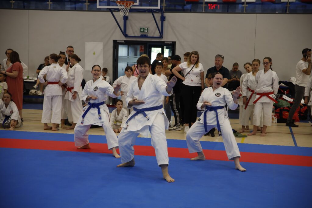 W sobotę, 14 czerwca, w Czerniejewie koło Wrześni odbył się Ogólnopolski Turniej Karate Czerniejewo 2025.