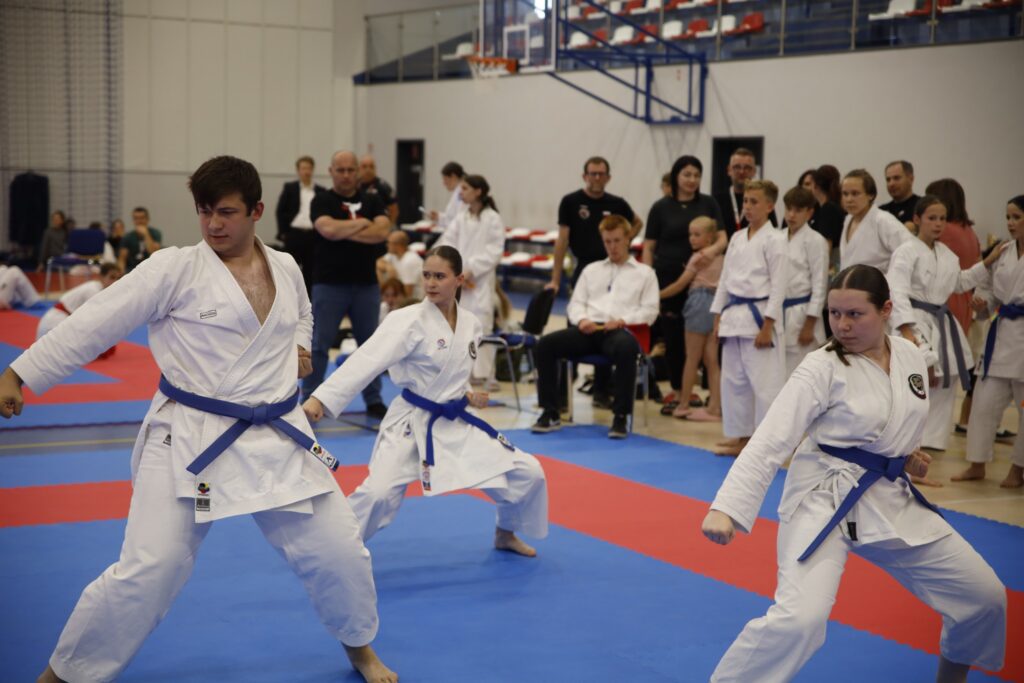 W sobotę, 14 czerwca, w Czerniejewie koło Wrześni odbył się Ogólnopolski Turniej Karate Czerniejewo 2025.