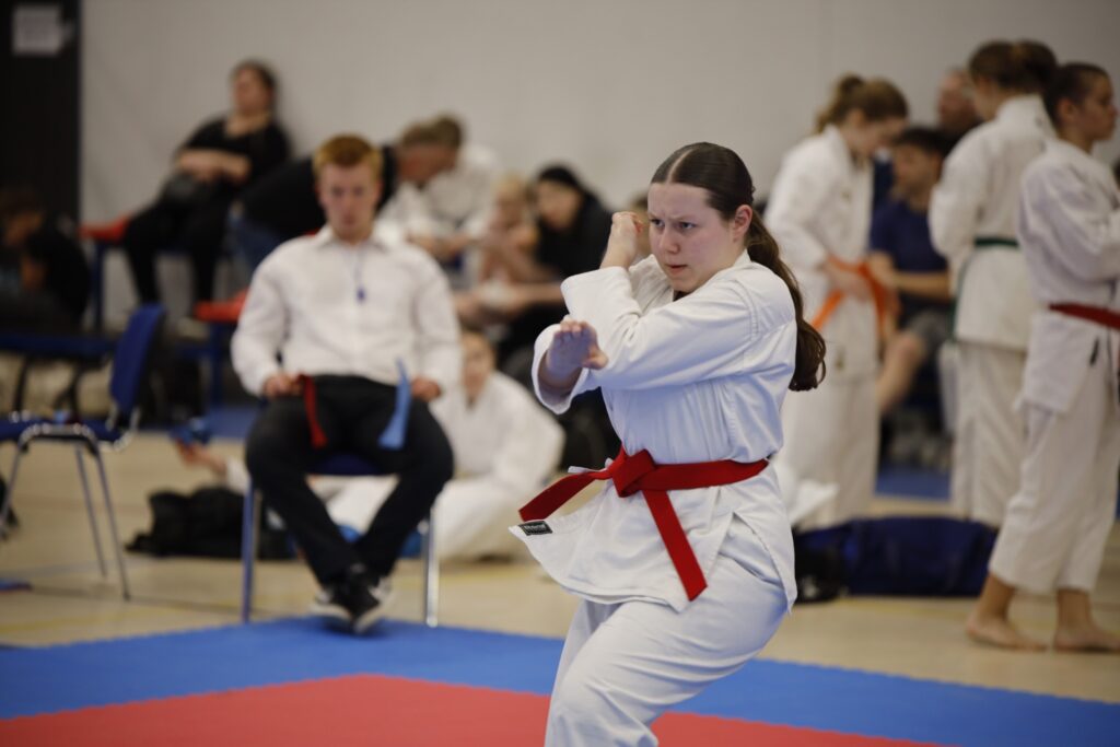 W sobotę, 14 czerwca, w Czerniejewie koło Wrześni odbył się Ogólnopolski Turniej Karate Czerniejewo 2025.