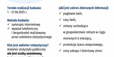 Badania ankietowe 2025