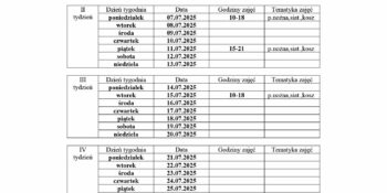 HARMONOGRAM planowanych godzin pracy animatora „Moje Boisko ORLIK 2012” na miesiąc lipiec 2025