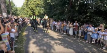 Telewizja Proart o święceniu zwierząt w Mikstacie