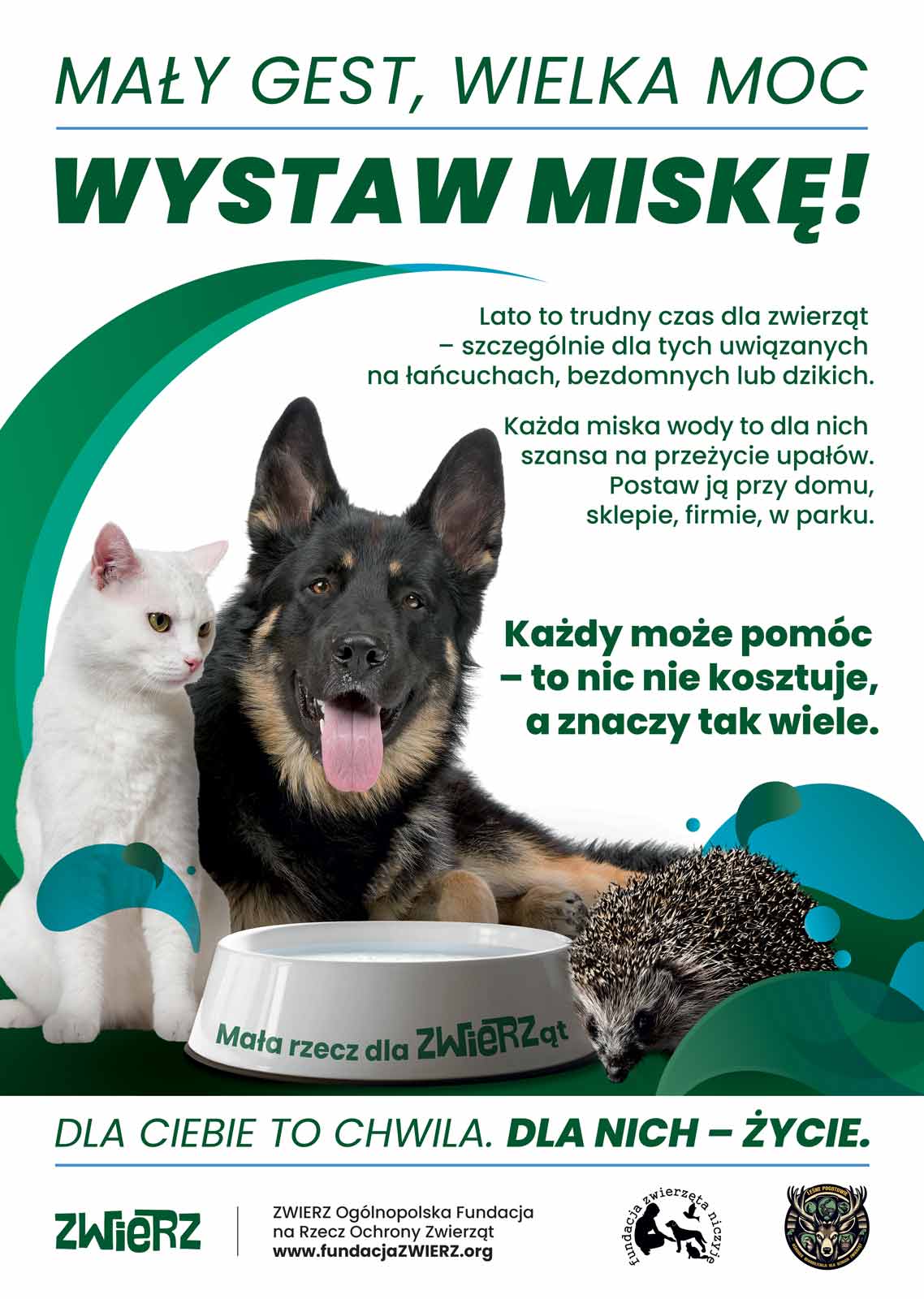 Mały gest, wielka moc – wystaw miskę! Pomóżmy zwierzętom przetrwać upały.
