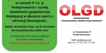 OGŁOSZENIE NR 3/2025 (563 920)