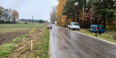 Miasto i Gmina Mikstat po raz kolejny uzyskały dotację na sadzenie lip drobnolistnych wzdłuż dróg gminnych.
