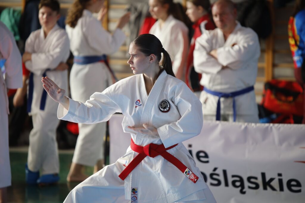 W sobotę, 8 listopada, sześcioro zawodników UKS Hitotsu Ostrzeszów (w tym dwie mikstaczanki) wzięło udział w XXXIV Mistrzostwach Ziemi Legnickiej w Karate "Lion Karate Open" 