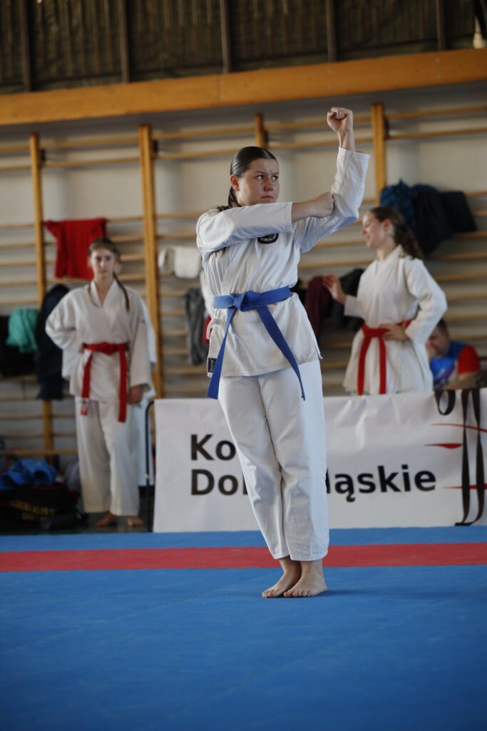 W sobotę, 8 listopada, sześcioro zawodników UKS Hitotsu Ostrzeszów (w tym dwie mikstaczanki) wzięło udział w XXXIV Mistrzostwach Ziemi Legnickiej w Karate "Lion Karate Open" 