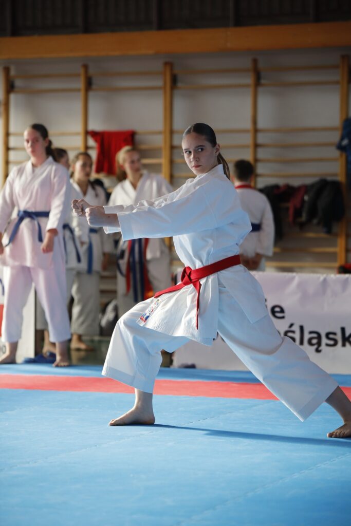 W sobotę, 8 listopada, sześcioro zawodników UKS Hitotsu Ostrzeszów (w tym dwie mikstaczanki) wzięło udział w XXXIV Mistrzostwach Ziemi Legnickiej w Karate "Lion Karate Open" 