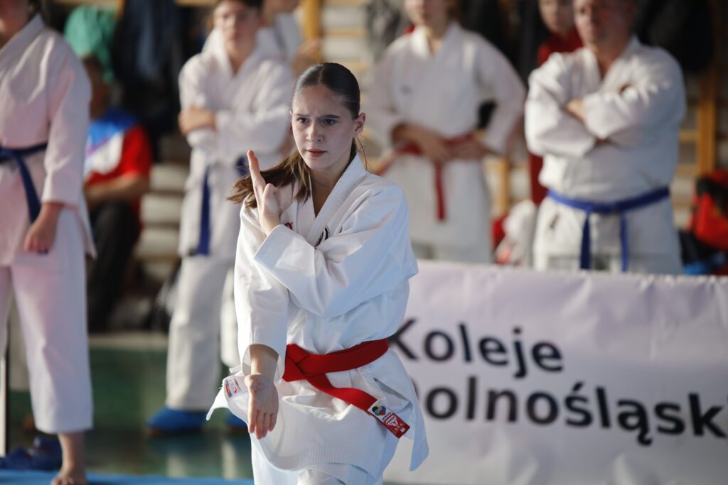 W sobotę, 8 listopada, sześcioro zawodników UKS Hitotsu Ostrzeszów (w tym dwie mikstaczanki) wzięło udział w XXXIV Mistrzostwach Ziemi Legnickiej w Karate "Lion Karate Open" 