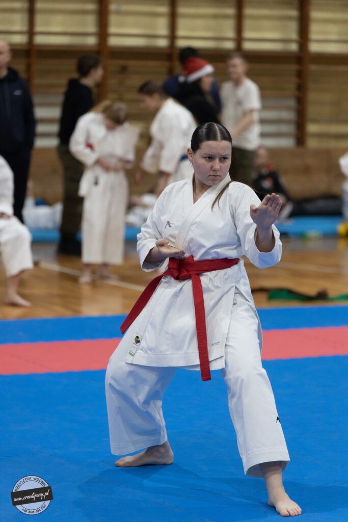 4 medale w Łodzi dla mikstackich karateków