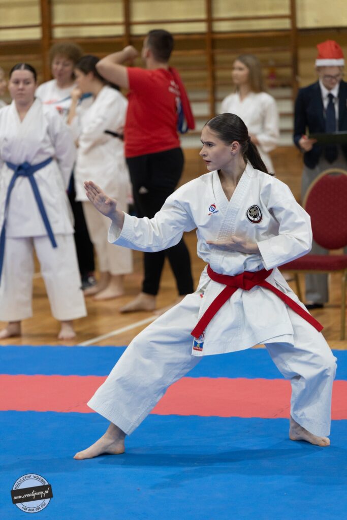 4 medale w Łodzi dla mikstackich karateków