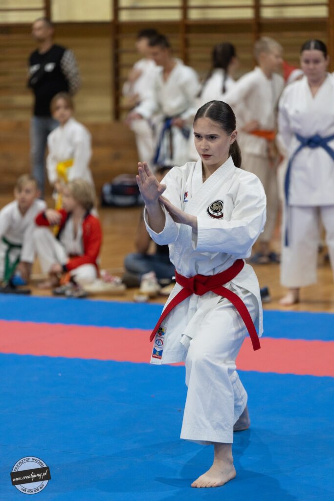 4 medale w Łodzi dla mikstackich karateków