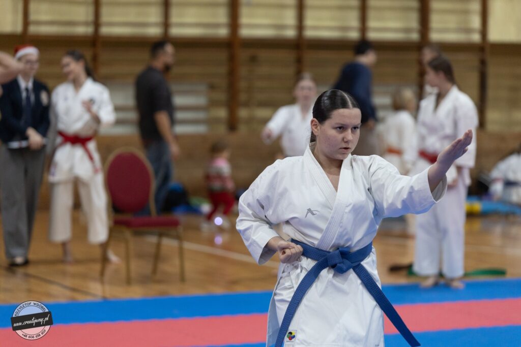 4 medale w Łodzi dla mikstackich karateków