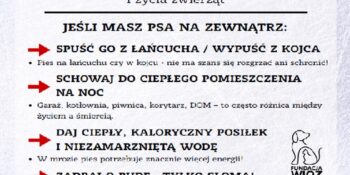 Dbajmy o Nasze Zwierzęta!