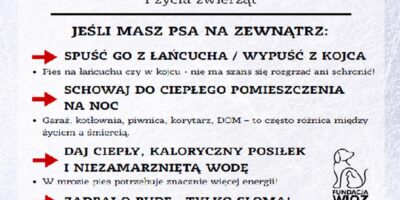 Dbajmy o Nasze Zwierzęta!