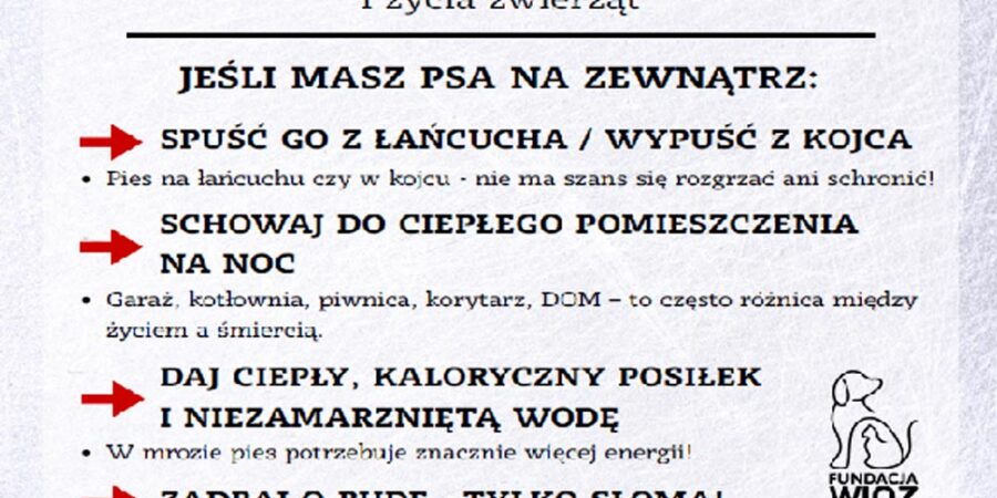 Dbajmy o Nasze Zwierzęta!