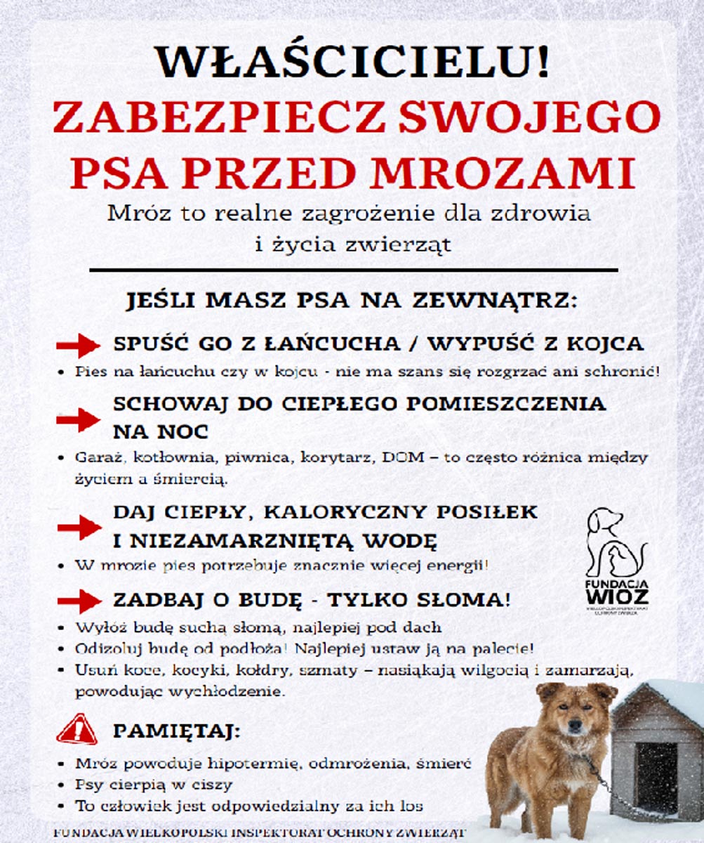 Dbajmy o Nasze Zwierzęta!